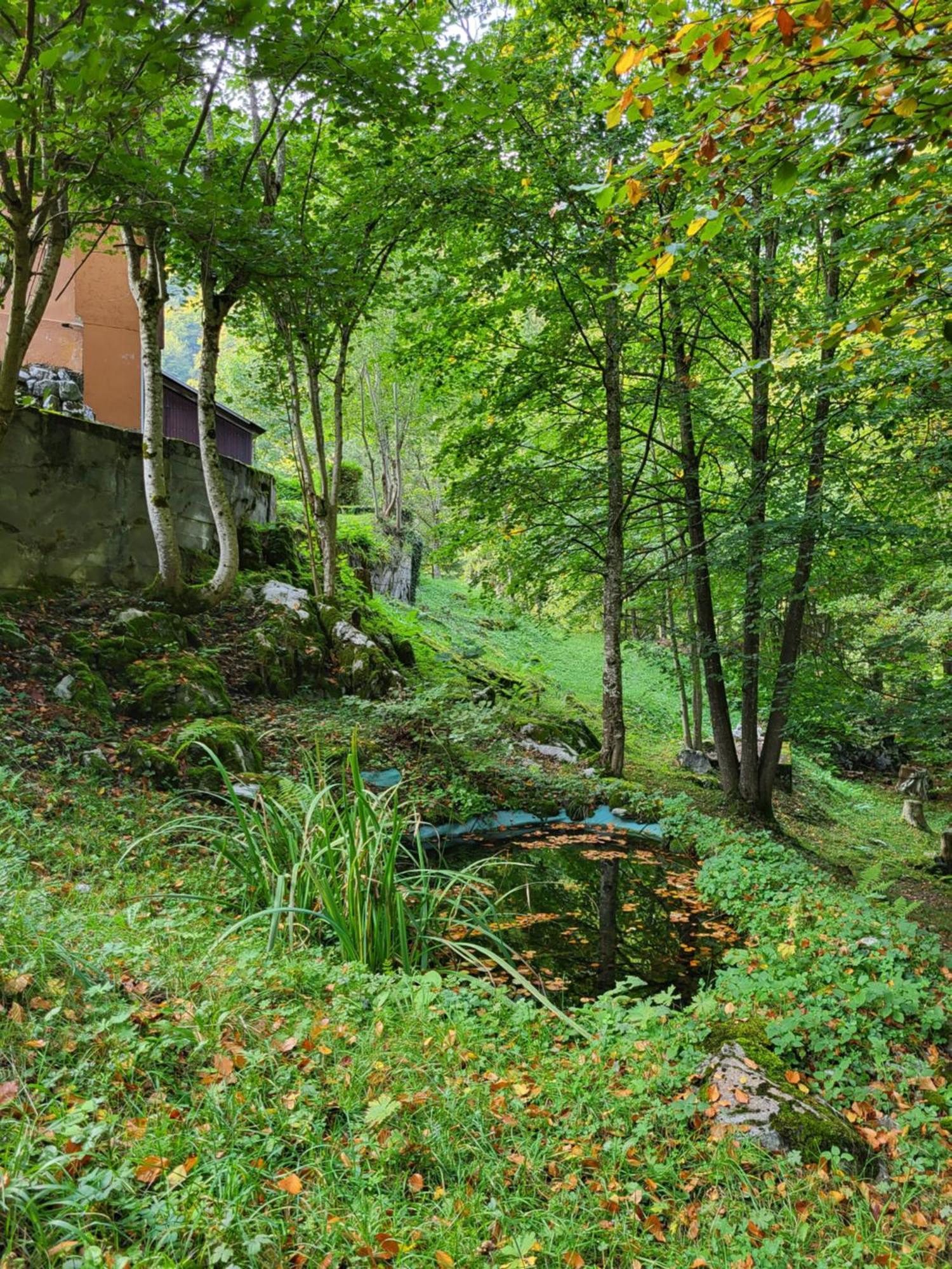Ferienhaus Baerschwendi Lungern Eksteriør bilde
